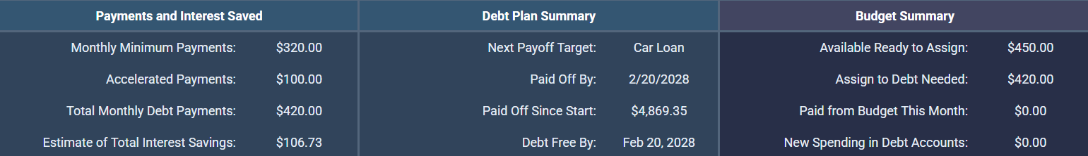 Debt summary with balances, payoff progress and interest details