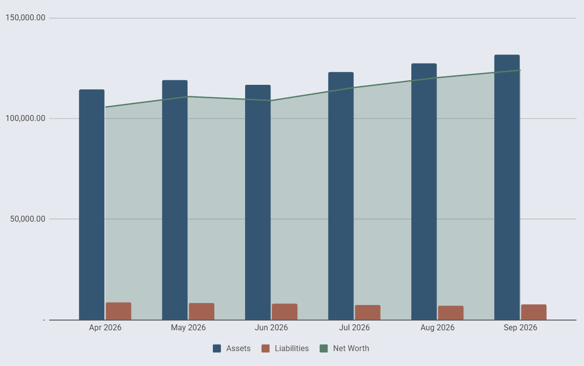 Net worth trend with assets and liabilities